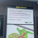 팔공마루오토캠핑앤캠프닉 티스토리