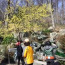 광덕사약수터 이미지