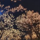 허기짐(HUGGI GYM) | 호캉스 경력 20년 그랜드 하얏트 남산에서 중고딩이랑 스테이케이션 백프로 즐기기 #2