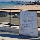 동행길 | 제주 올레길 20코스(세화–월정) 동행 트레킹 후기