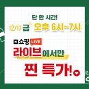 그린큐레이션 이미지