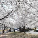 대구북구청소년회관 | 대구북구, 배광식구청장 정책 이끈 청소년회관 교육기관 선정