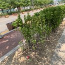 계양체육관 이미지