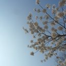 영복여자고등학교 이미지