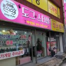 안나애견 이미지