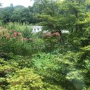 돌담가든 이미지