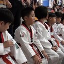 경희대학동태권도 이미지