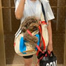 엄궁한의원 | 202405