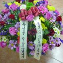 차경연산부인과