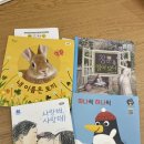 꼬모북스 | 레이크꼬모 동탄어린이서점 | 그레이트북스 체험팩 후기