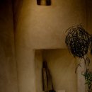 월령지헌 이미지