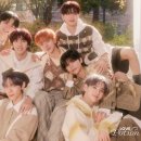 엔싸인 카카오 검색결과