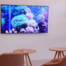 상록모터스 이미지