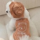 곰돌이상회