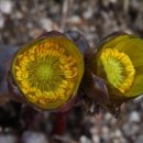 자연과 나 이미지