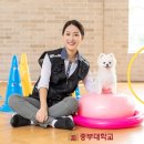 에버펫동물병원 이미지