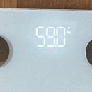 다혜밥상 | 2주 다이어트 후기