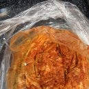 대도김치 | 밥도둑이 따로 없네? 전라도 대도김치 포기김치 2kg 먹어본 솔직 후기