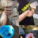 현무태권도 이미지