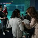 일라이디자인