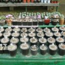 오현농장 이미지