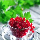 노을연가 이미지