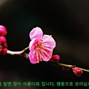 전원주택 모음 (가격순서) 이미지