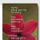 신바람건강체조 이미지