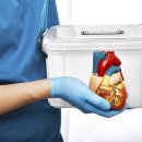 신장축산 이미지