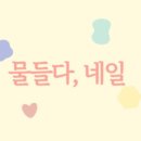 샵물들다