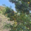 중암농장 이미지