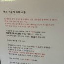 황토흙펜션 꿈의대화 | [강원도 동해] 힐링 촌캉스하기 좋은 가성비 애견동반 펜션 황토흙펜션 꿈의대화 하트방 후기