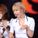 사뿐사뿐 이미지