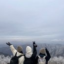리틀프로방스 | [무주] 겨울 덕유산 등산 후 묵은 무주 숙소 &#34;리틀프로방스펜션&#34;