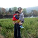 윤기목장 이미지