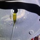 허머모터스 이미지