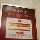 에스티바이오 | 에스테티크 바이오포톤 + 빼라피 슬리밍 백석바디관리