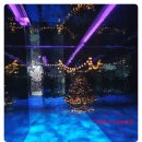 보어염소천국 | 🌿 가평에서 새랑 꽃이랑 힐링 풀코스?! 가평베고니아새정원 방문기 🦜✨