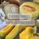 김해-상동-8-비상-2 | 나디아네 청양 칠갑산 어얼스멜론 내돈내산 공구로 인생멜론 맛 본 찐 후기