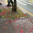 함덕 숨어있는집 이미지