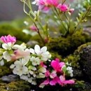 창이 행정사 사무소 이미지