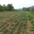 송간농장 이미지