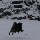 바우하우스 105 이미지