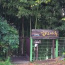 남산주유소 | 울산 데이트코스 태화강 카페 추천 : 태화강전망대 회전 카페 방문후기
