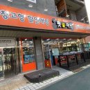 펫마트 강아지 논산점 티스토리