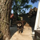 아랑디 애월 이미지