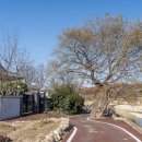 반월펜션 이미지