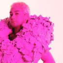 핑크홀리 이미지