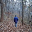 공주산림휴양마을 이미지