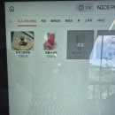 용인 가볼만한곳 자작나무숲 후기 수국과 폭포, 베이커리까지 있는 힐링코스